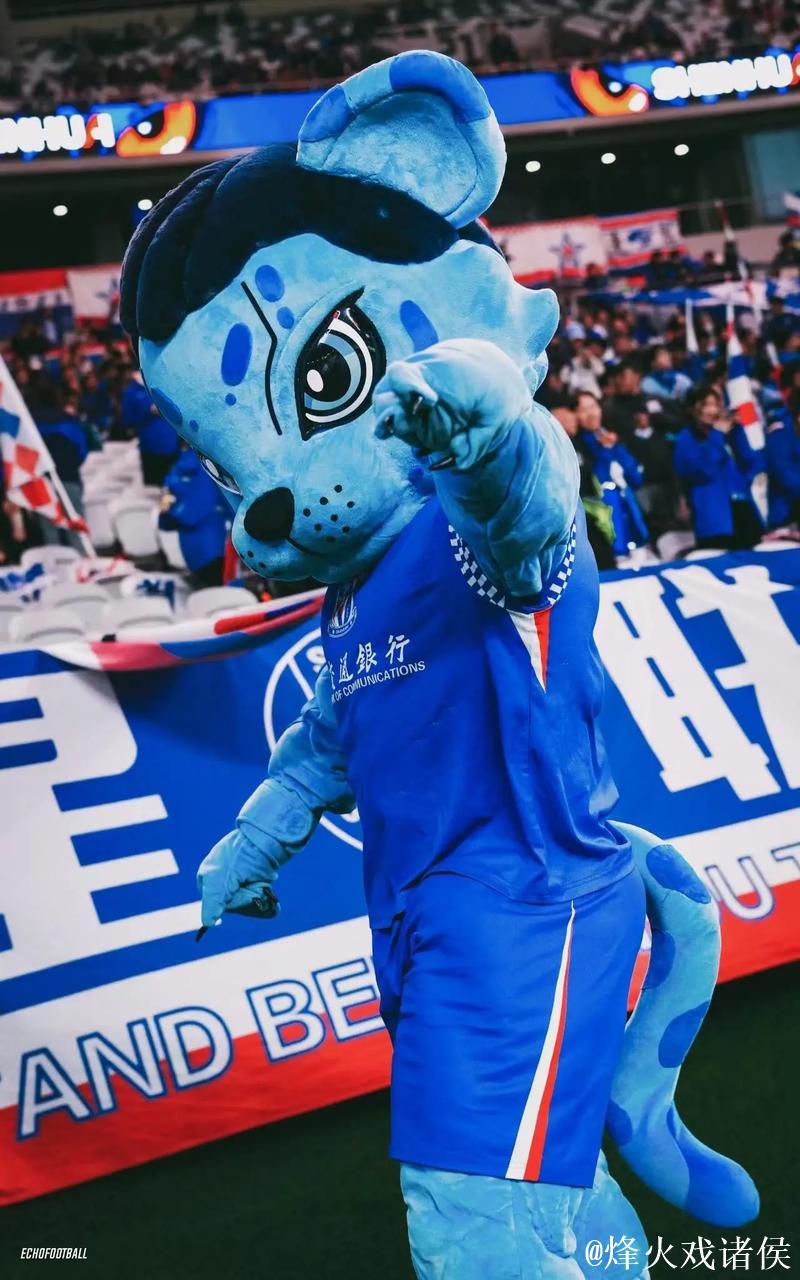 新民体育｜申花，有新面孔？