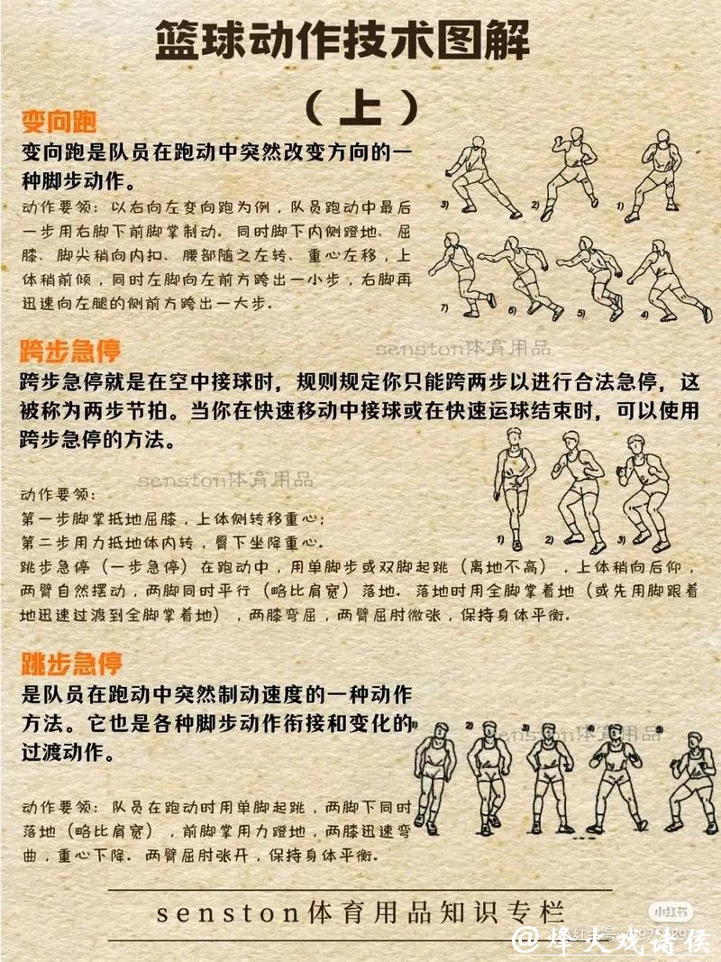 如何参与男篮世界杯下注指南